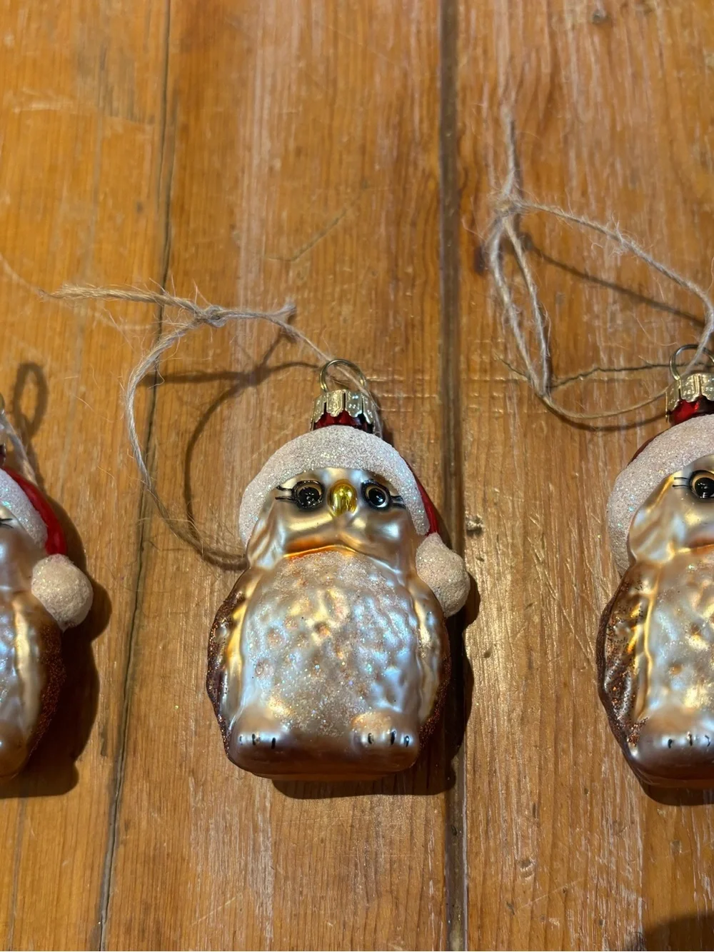 Not sure adorable owls